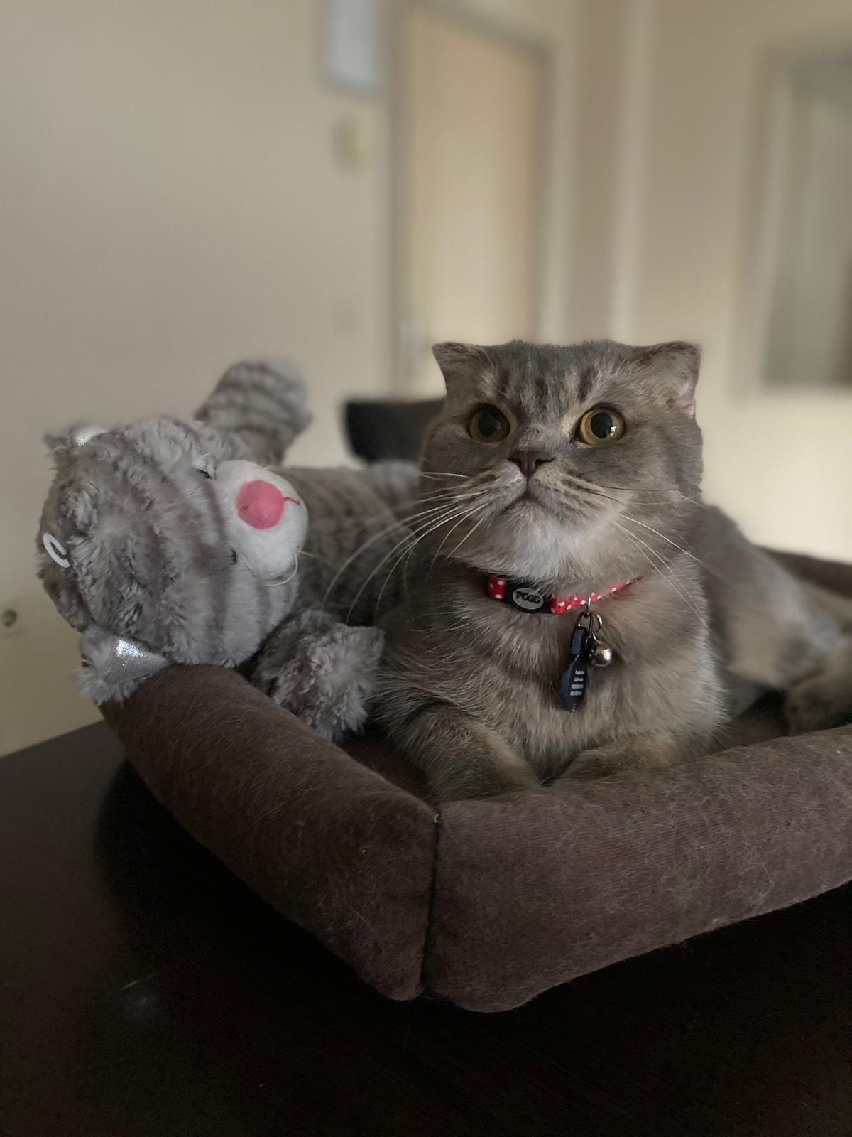 Max